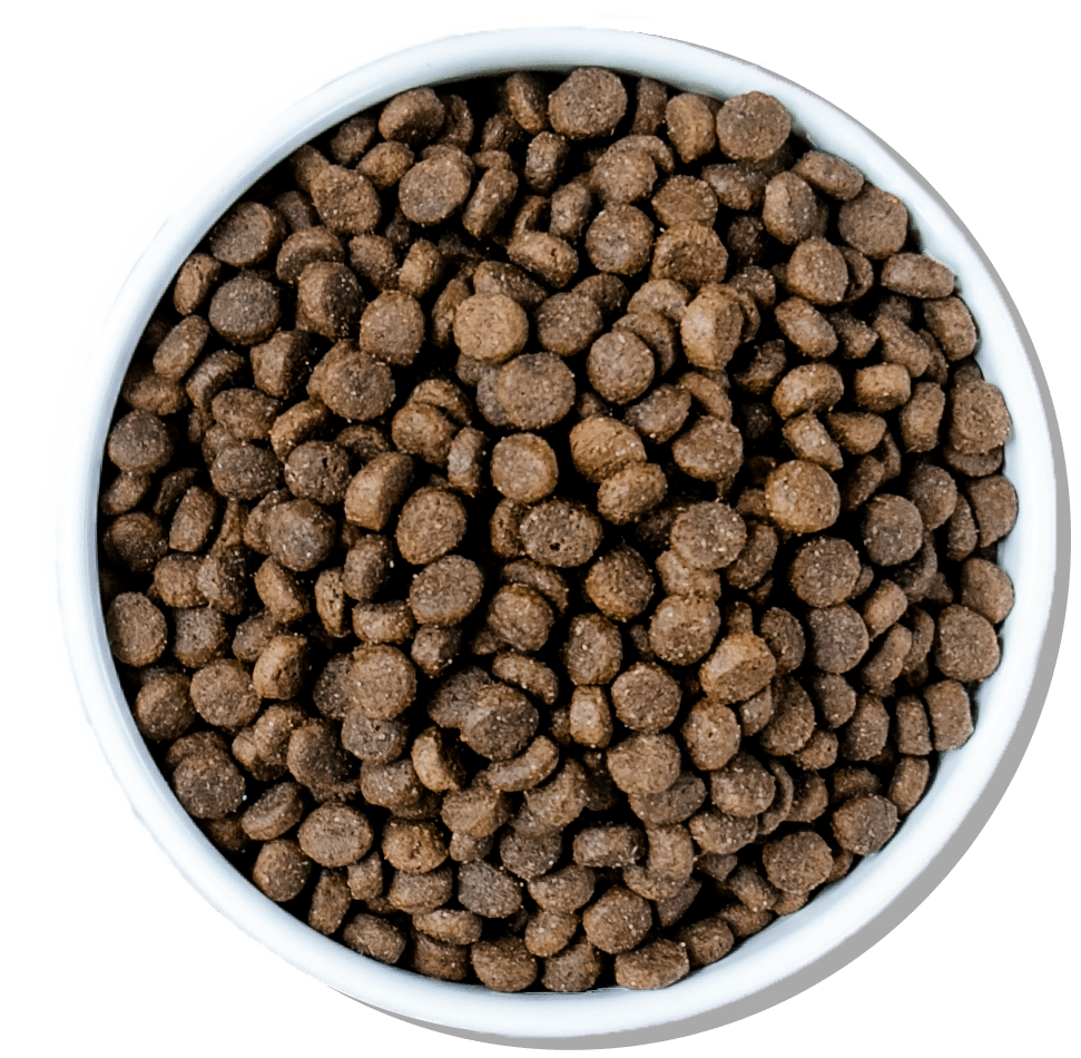 Puppy Dry Food