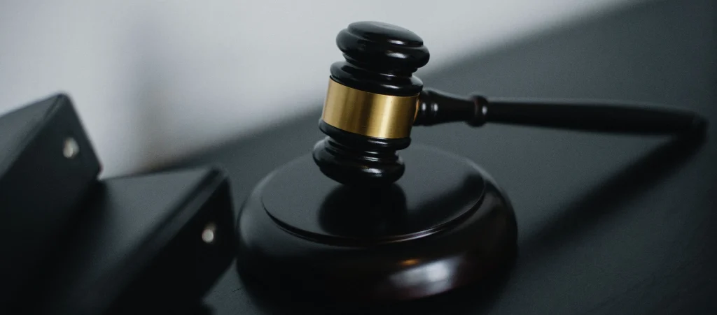 legal services authority act